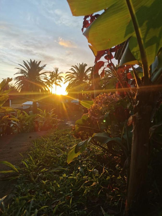 Hostal Tu'U Koihu Hanga Roa Ngoại thất bức ảnh