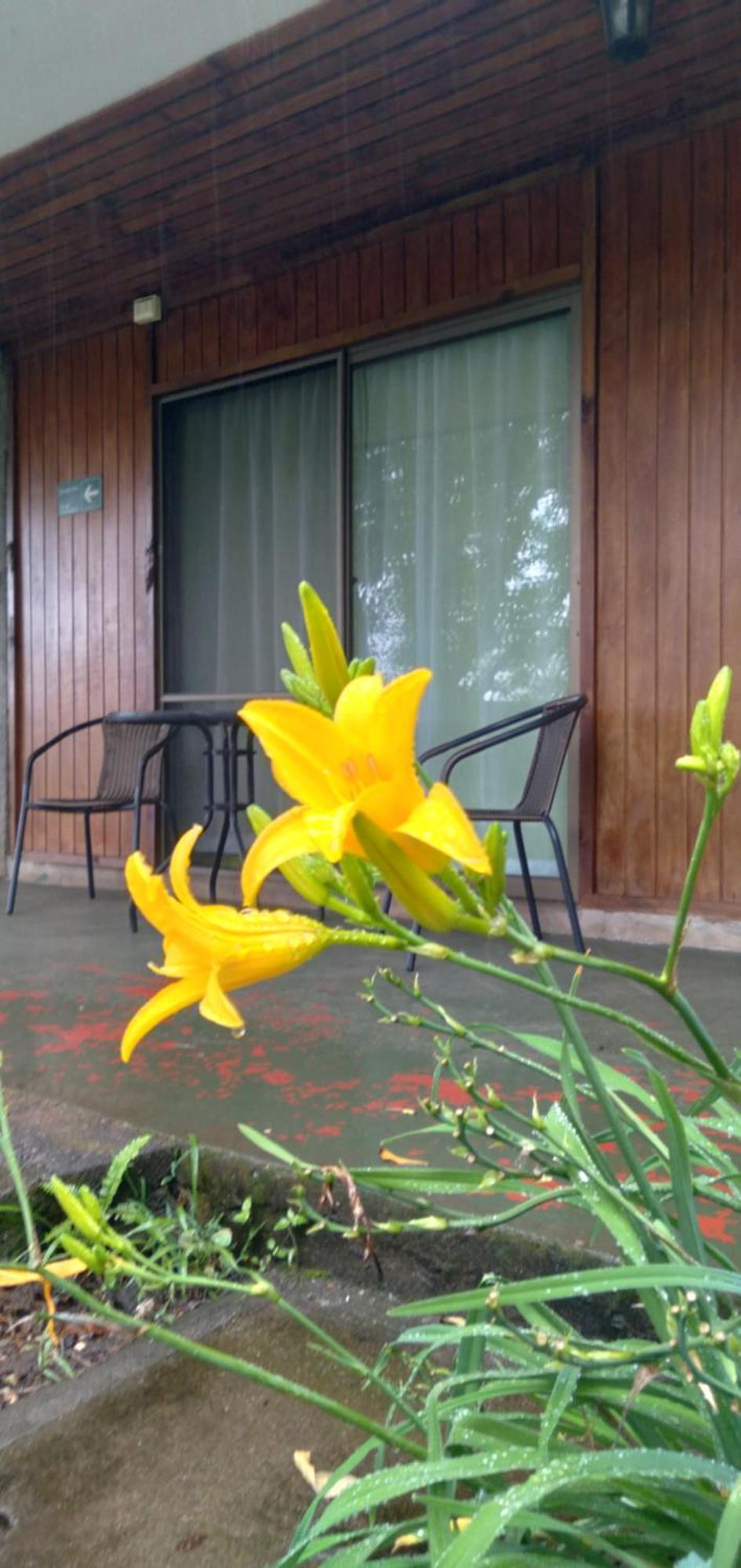 Hostal Tu'U Koihu Hanga Roa Ngoại thất bức ảnh