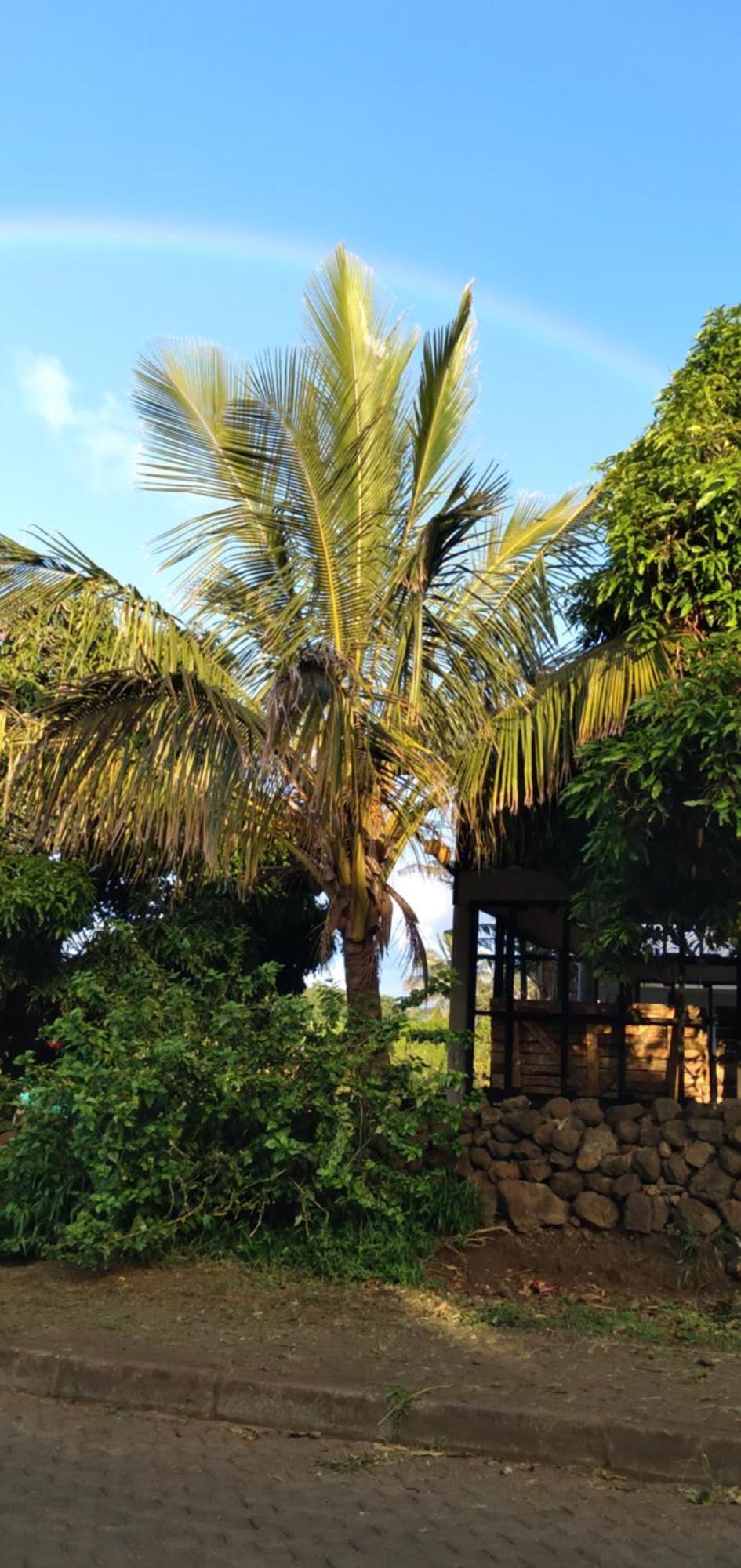 Hostal Tu'U Koihu Hanga Roa Ngoại thất bức ảnh