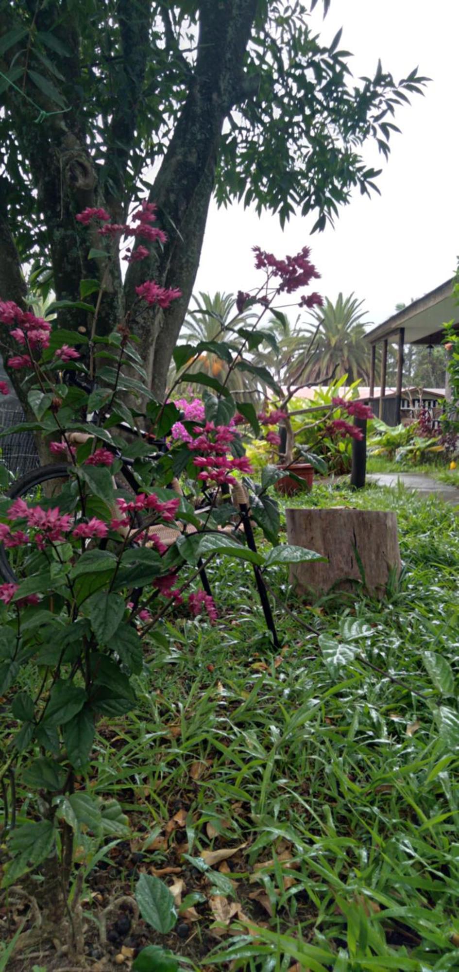 Hostal Tu'U Koihu Hanga Roa Ngoại thất bức ảnh
