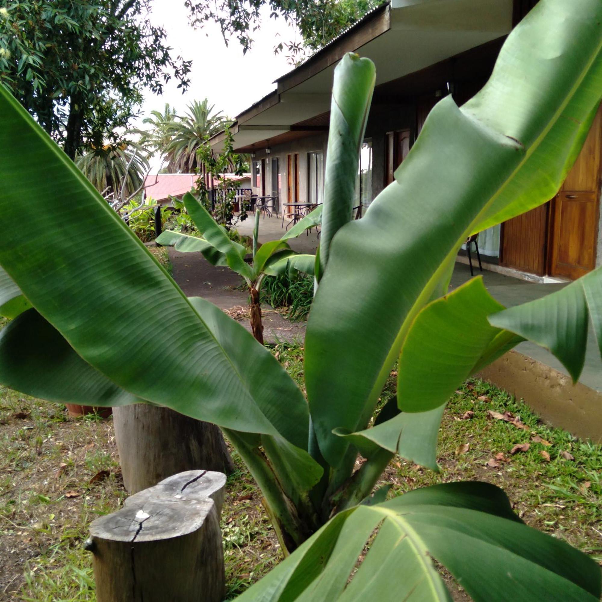 Hostal Tu'U Koihu Hanga Roa Ngoại thất bức ảnh