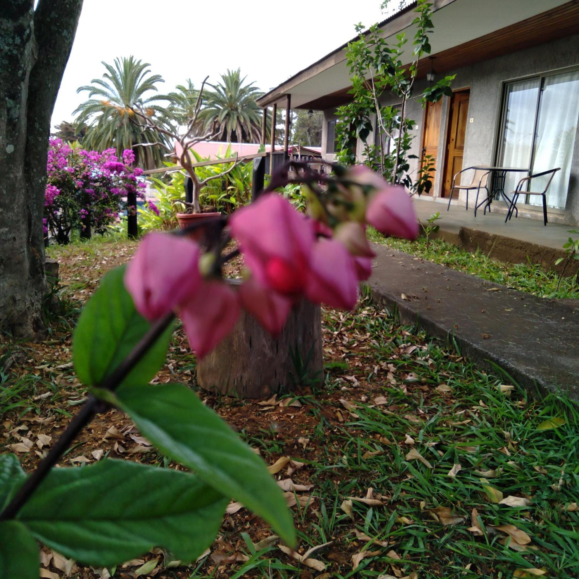 Hostal Tu'U Koihu Hanga Roa Ngoại thất bức ảnh